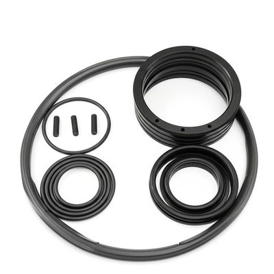 Bon prix Customized Black Excavator Cylinder Seal Kit for Your Business Needs en ligne